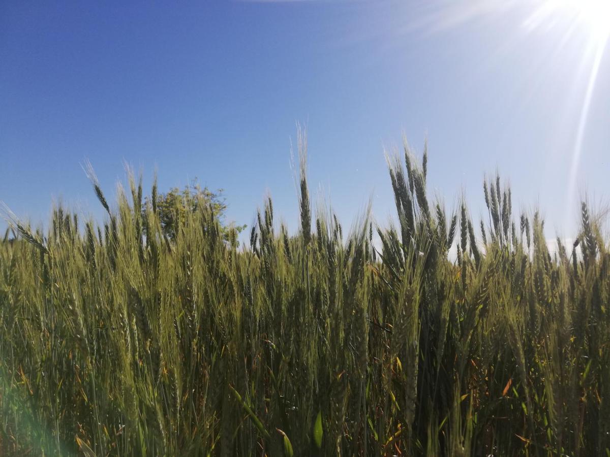 Agriturismo Fondo Paliemmu Modica Eksteriør billede