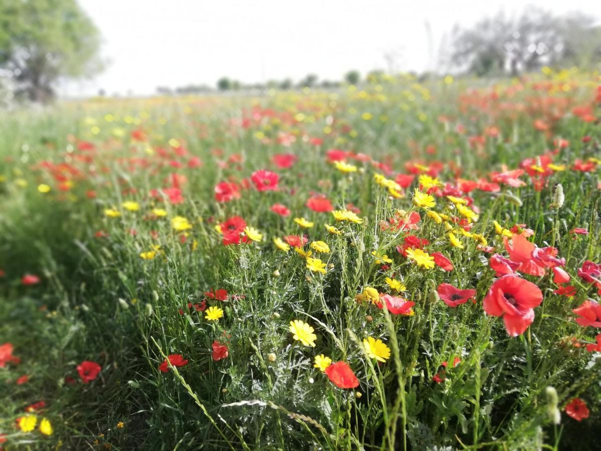 Agriturismo Fondo Paliemmu Modica Eksteriør billede